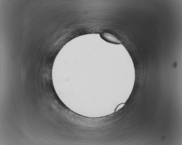 X0000114540035200911301212