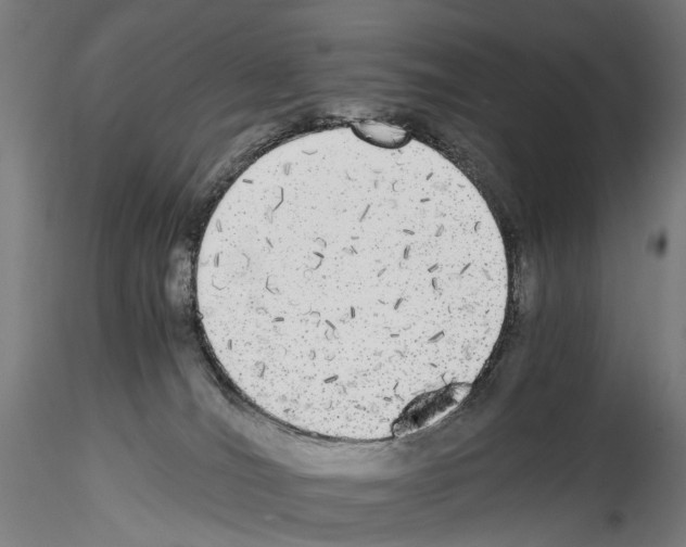 X0000114540036200911301212