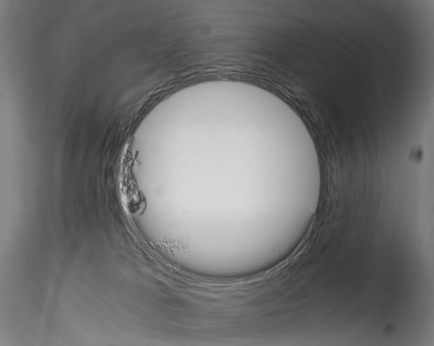 X0000114540037200911301212