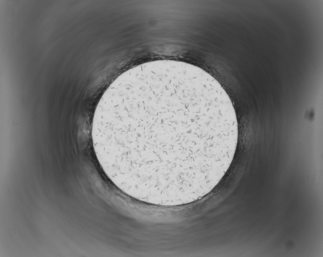 X0000114540040200911301212