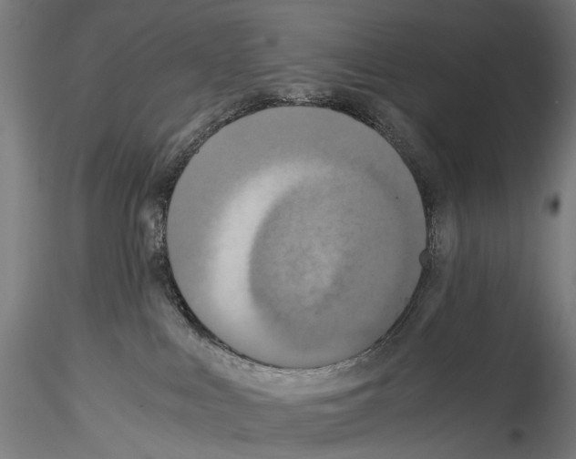 X0000114540043200911301212