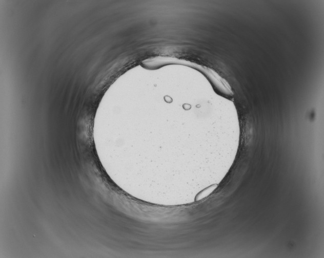 X0000114540044200911301212