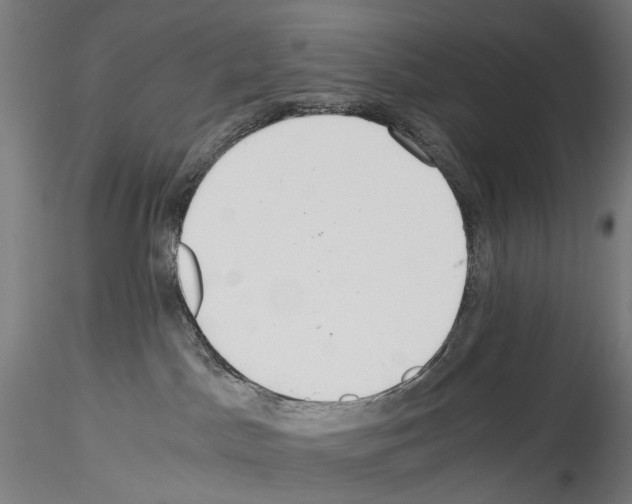 X0000114540045200911301212