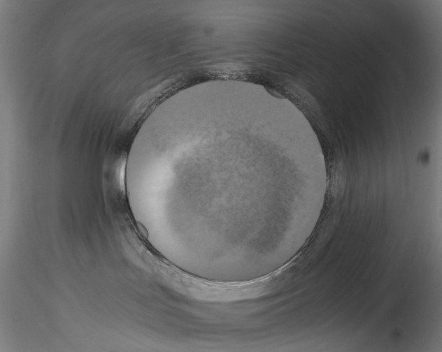 X0000114540047200911301212