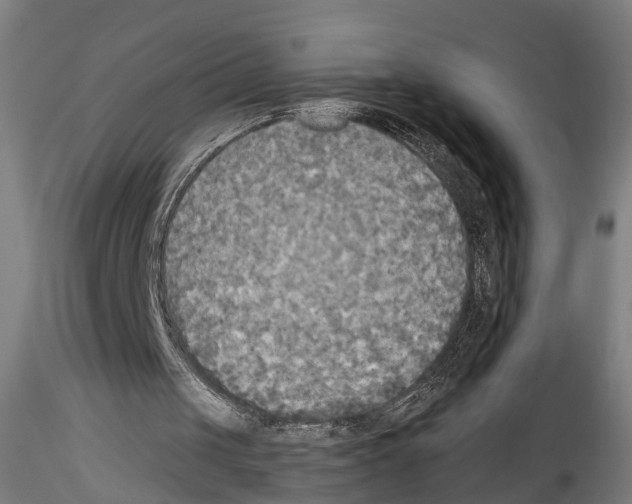 X0000114540049200911301211