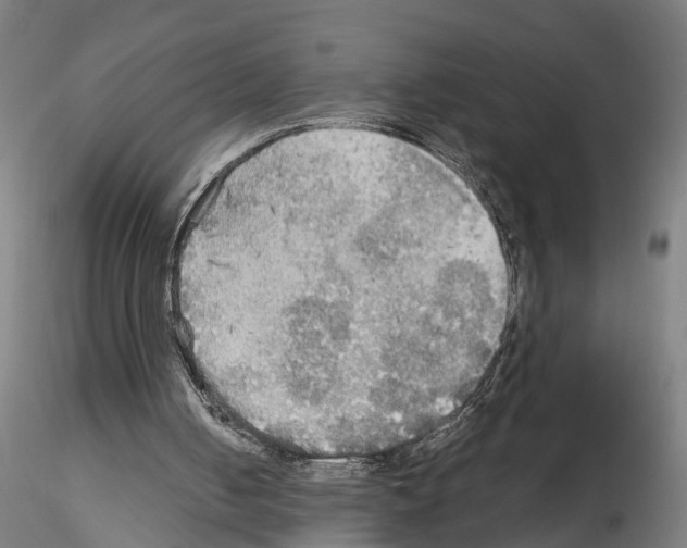 X0000114540050200911301211