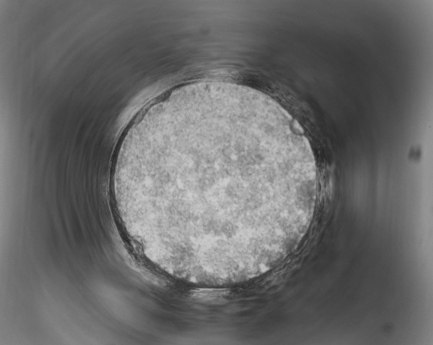 X0000114540051200911301211