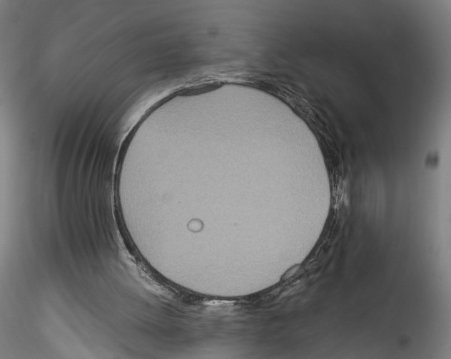 X0000114540052200911301211