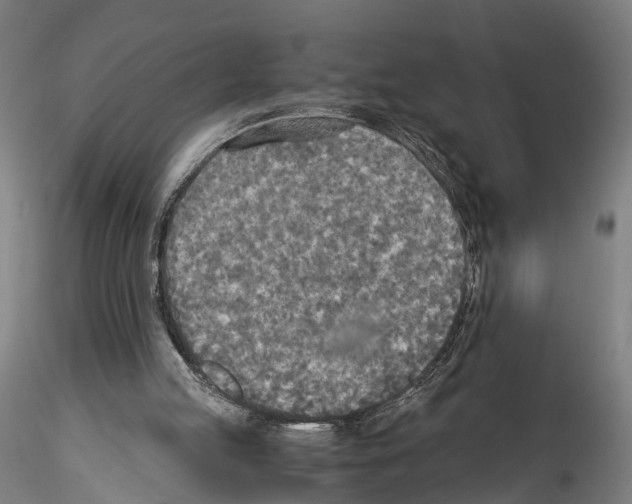 X0000114540053200911301211