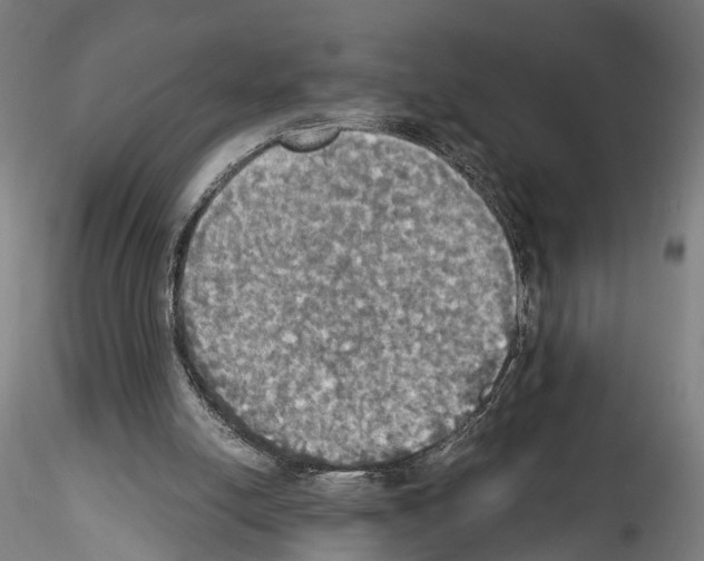 X0000114540054200911301211