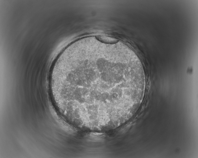 X0000114540055200911301211