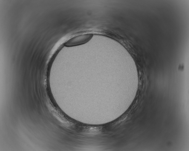 X0000114540056200911301211