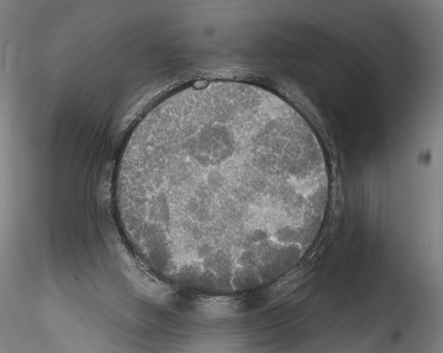 X0000114540058200911301211