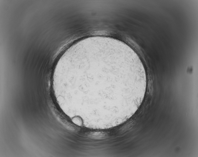 X0000114540059200911301211