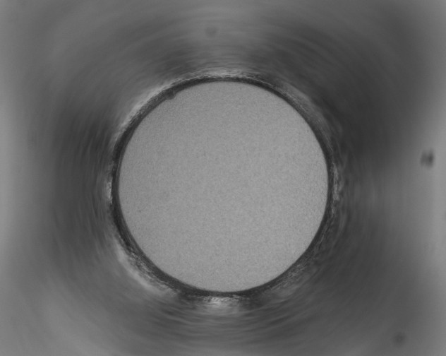 X0000114540060200911301211