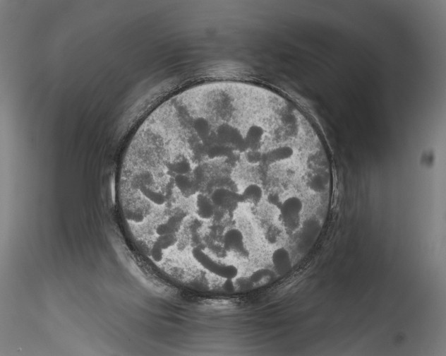 X0000114540061200911301211