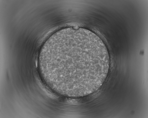 X0000114540062200911301211