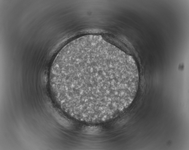 X0000114540063200911301211