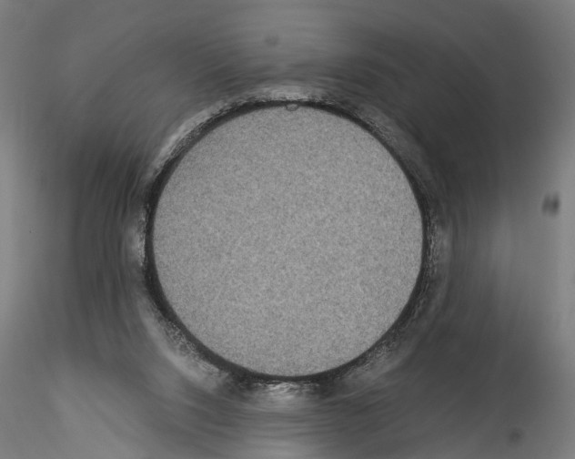 X0000114540064200911301211