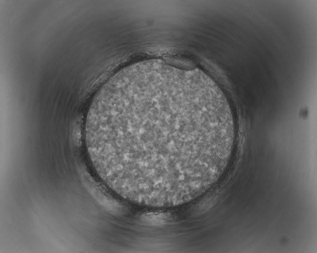 X0000114540065200911301211