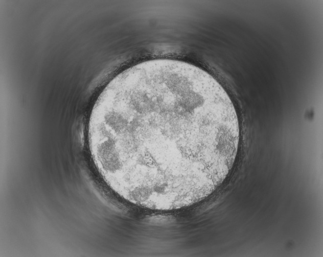 X0000114540067200911301211