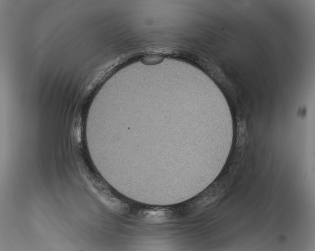 X0000114540068200911301211