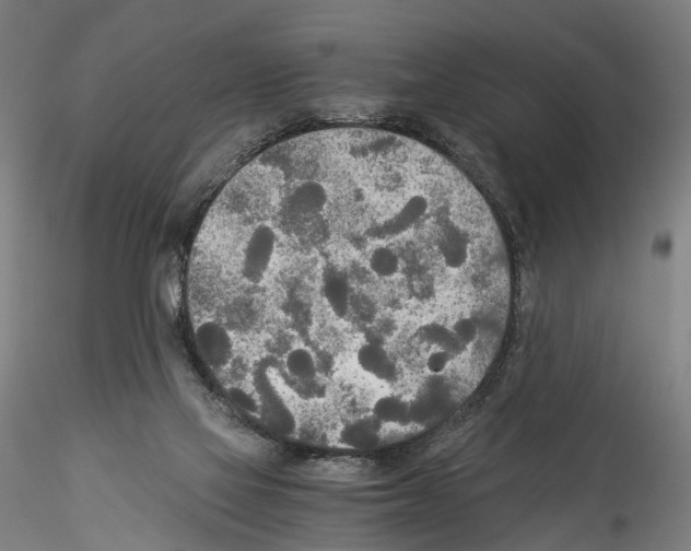 X0000114540069200911301211