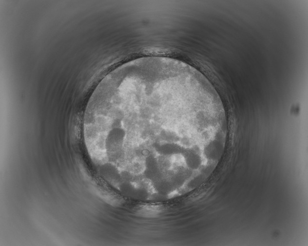 X0000114540071200911301211