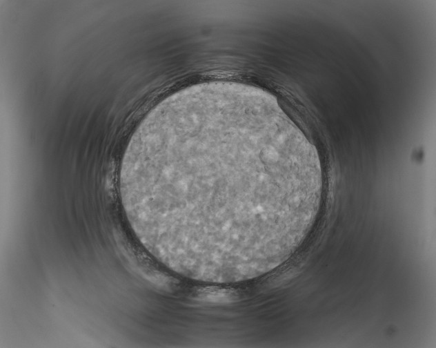 X0000114540073200911301211