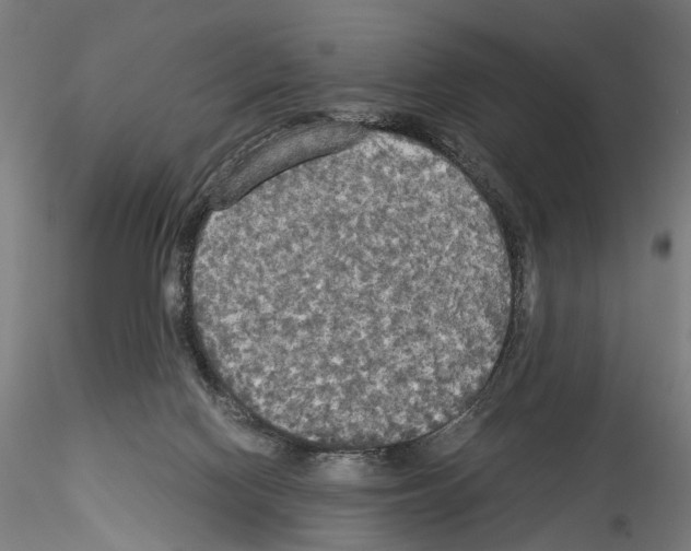 X0000114540074200911301211