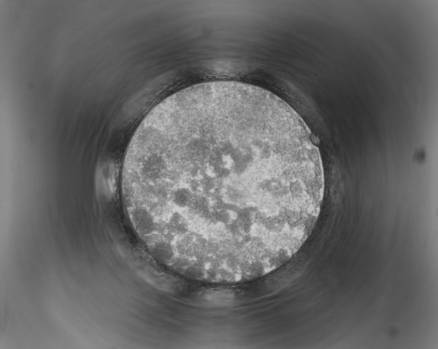 X0000114540075200911301211