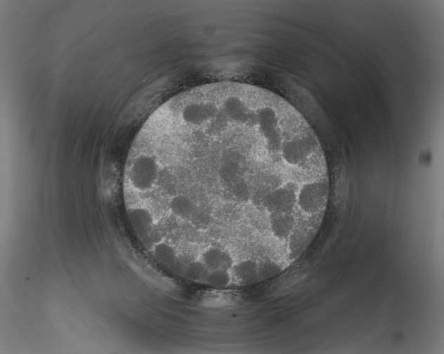 X0000114540077200911301211