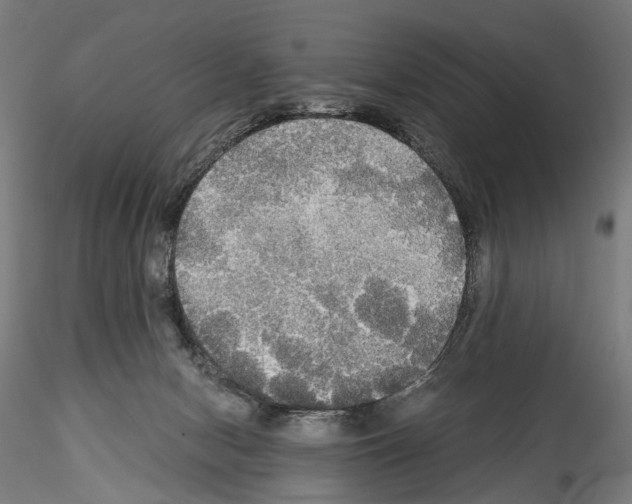 X0000114540078200911301211