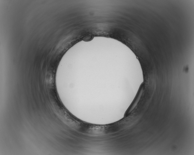 X0000114540084200911301212