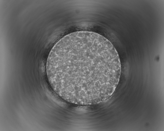 X0000114540086200911301212