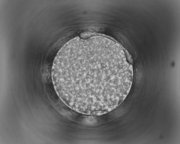 X0000114540091200911301212