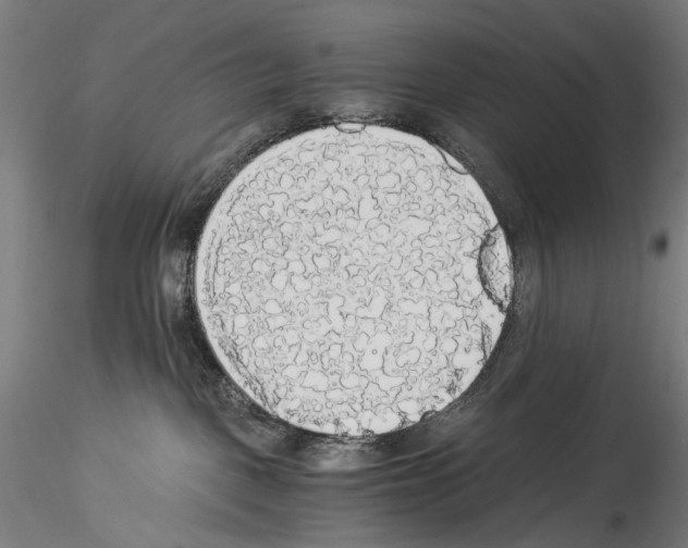 X0000114540093200911301212