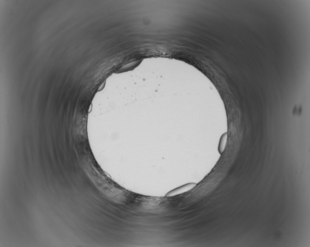 X0000114540096200911301212