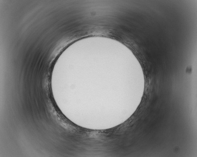 X0000114540098200911301211