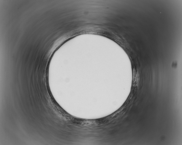 X0000114540099200911301211