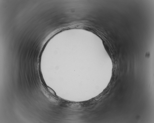 X0000114540100200911301211