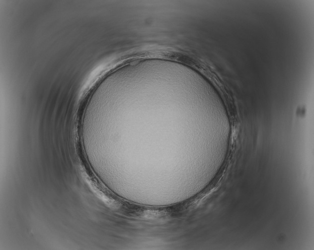 X0000114540101200911301211