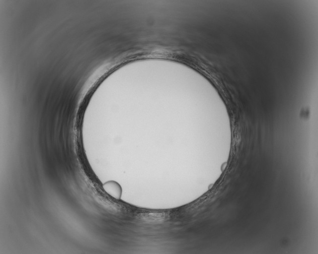 X0000114540102200911301211