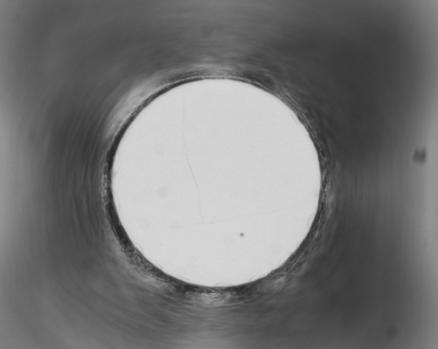 X0000114540103200911301211