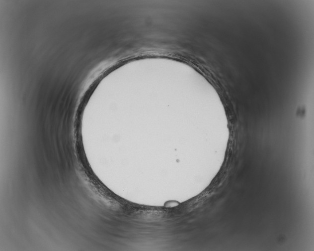 X0000114540104200911301211