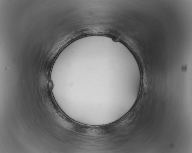 X0000114540105200911301211