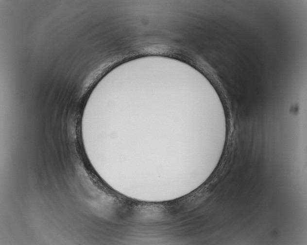 X0000114540106200911301211