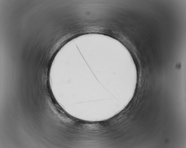 X0000114540107200911301211