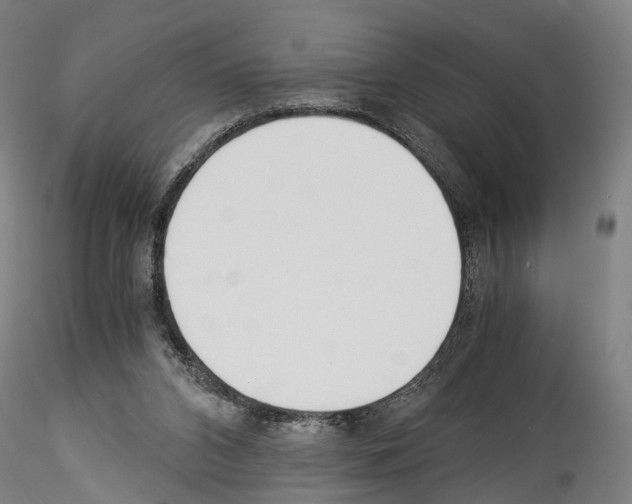 X0000114540112200911301211