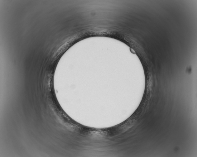 X0000114540115200911301211